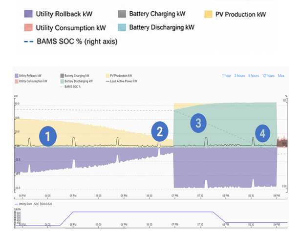 Gráfico de rendimiento de Nano VPP: gestión de la batería y de la energía solar